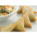 Samosa 54x50g vegan frozen 04019859928294