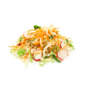 Chinese cabbage-carrot-leek-radish 1kg 06416124674005
