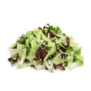 Iceberg-radicchio-frisée 1kg 06416124677006