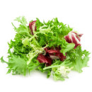 Ice lettuce-radicchio-frisée sallad 500g 06416124703002