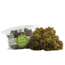Lollo rosso salad 200g 06430021740311