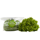 Frisée salad 200g 06430021740489