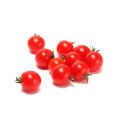 Cherry tomato red 250g/2,25kg