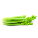 Celery ap10kg