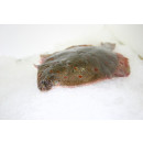 Plaice ca350g/3kg