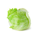 Iceberg lettuce ap5kg 06408997000104