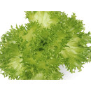 Lettuce green ice ap100g/1,2kg 06408997000203