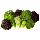 Salad mix ap3kg/lt 06406601323007