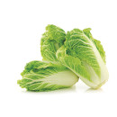 Chinese cabbage ap6kg 06408997030194