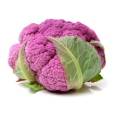 Cauliflower violet 6kg/box 06406600000398