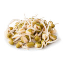 Mung bean sprout 500g