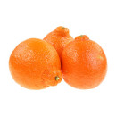 Mandarin Minneola ap1kg