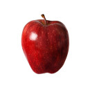 Apple Christmas ap1kg/13kg