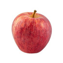 Apple Royal Gala ap13kg