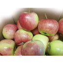 Apple, domestic ap1kg/12kg