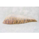Pike perch file, skinless, ap170g/5kg, frozen
