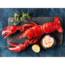 Lobster popsickle 10x320g frozen