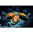 Green mussel in halv shell, cooked 1kg/10kg, frozen