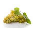 Grapes green seedless ap0,5kg/5kg 06408999086533