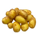 Early Potato imported 10kg/box 06408998035723