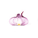 Red onion ap10kg 06408998071288