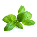 Basil ap100g/bag 06406600043029