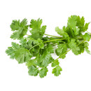 Coriander, 100g 06406600043166