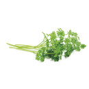 Chervil ap100g 06406600043210