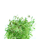 Thyme 250g 06406600044439