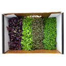 Cress box selection