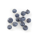 Cultivated blueberry 125g/box 06406600047119
