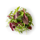 Napolitana salad mix 500g/bag
