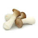 Mushroom, King Oyster 4kg