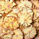 Botanica Dehydrated pineapple 80g