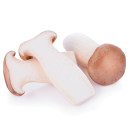 King Oyster Mushroom 1kg