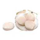 Scallops alive 5kg a.30 pcs 02366185100002