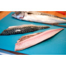 Mackerel fillet ca145g/3kg