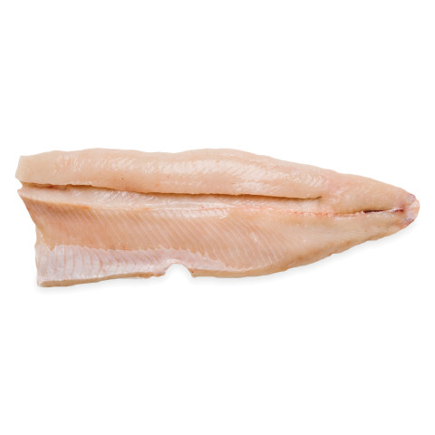 Pike fillet skinless ca2,5kg 02366124700003