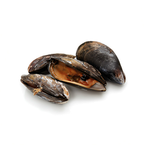 Blue mussel Krav 1kg medium 06406600118321