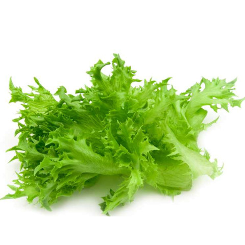 Lettuce ice green leaves washed 2kg 06416124610386