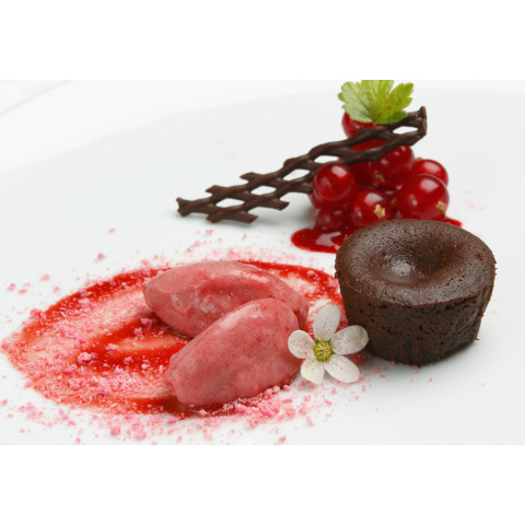 Mini Mud Cake 96x20g gluten-free lactose free frozen 06430026139820