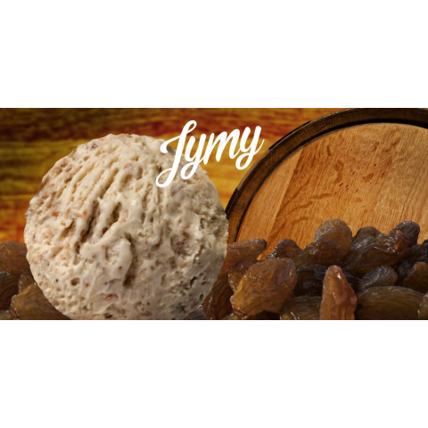 Rum raisin ice cream lactose free 5 L frozen 06430056224510