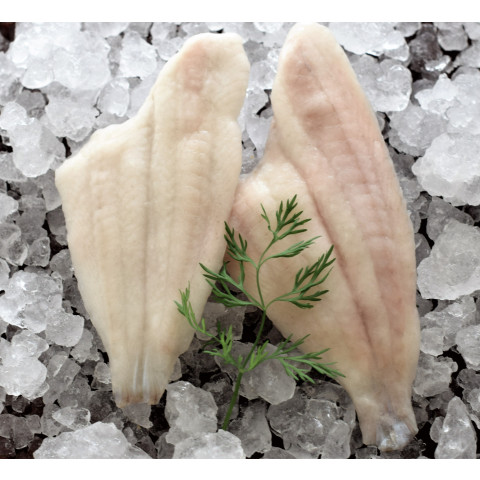 MSC Yellowfinsole fillet 80-120g/5kg 20% frozen 08717202063994