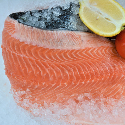 Salmon fillet a.10kg pinboned 02366112300000