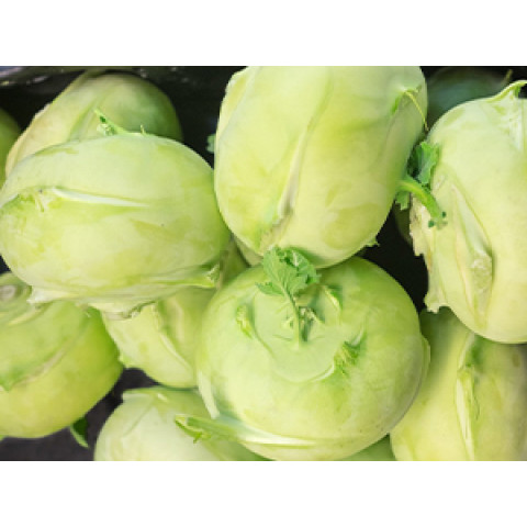 Kohlrabi ap1kg/5kg 06406600011806