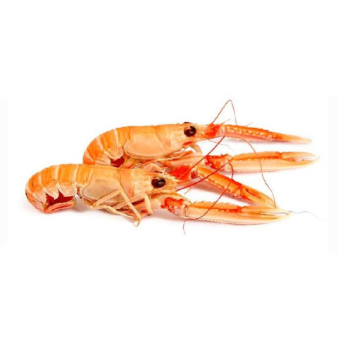 Scampi 11/15 cooked 3kg 06407022118494