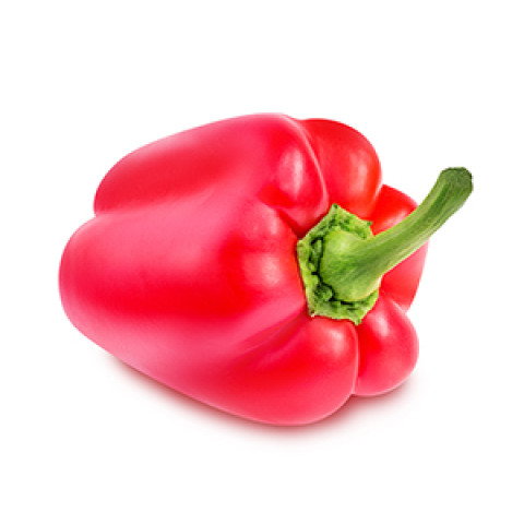 Capsicum red ap5kg 06408997075102