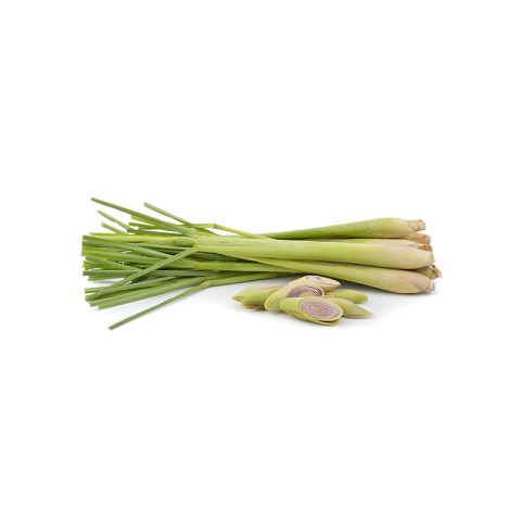 Lemongrass 150g/bunch 06406600016955