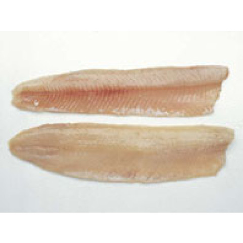 Pike fillet without skin ap0,5-2kg/5kg frozen 02366224700002