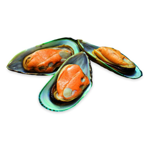 Green mussel in halv shell, cooked 1kg/10kg, frozen 06406690228306